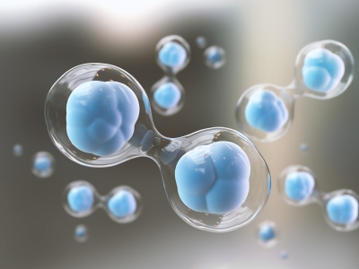 外泌體與干細(xì)胞：看似同源，實(shí)則大不同的 “修復(fù)能手”